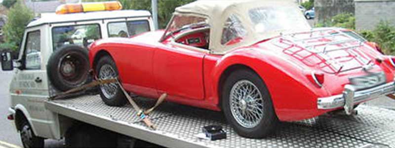 Vehicle Transportation Services